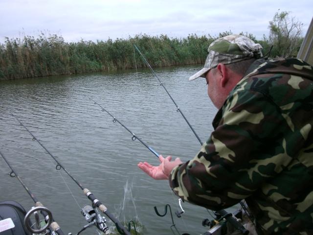 Delta Dunarii - gedc0174.JPG